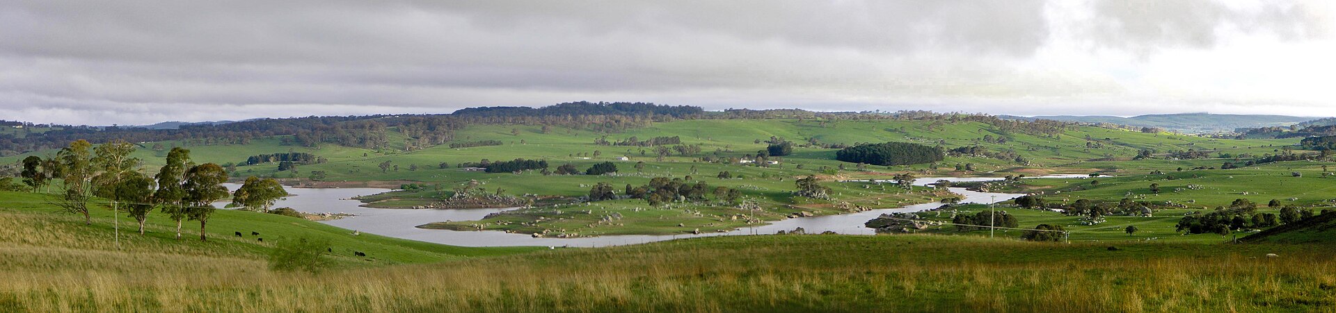 Wide view across the pastures and forested walls of the Megalong Valley