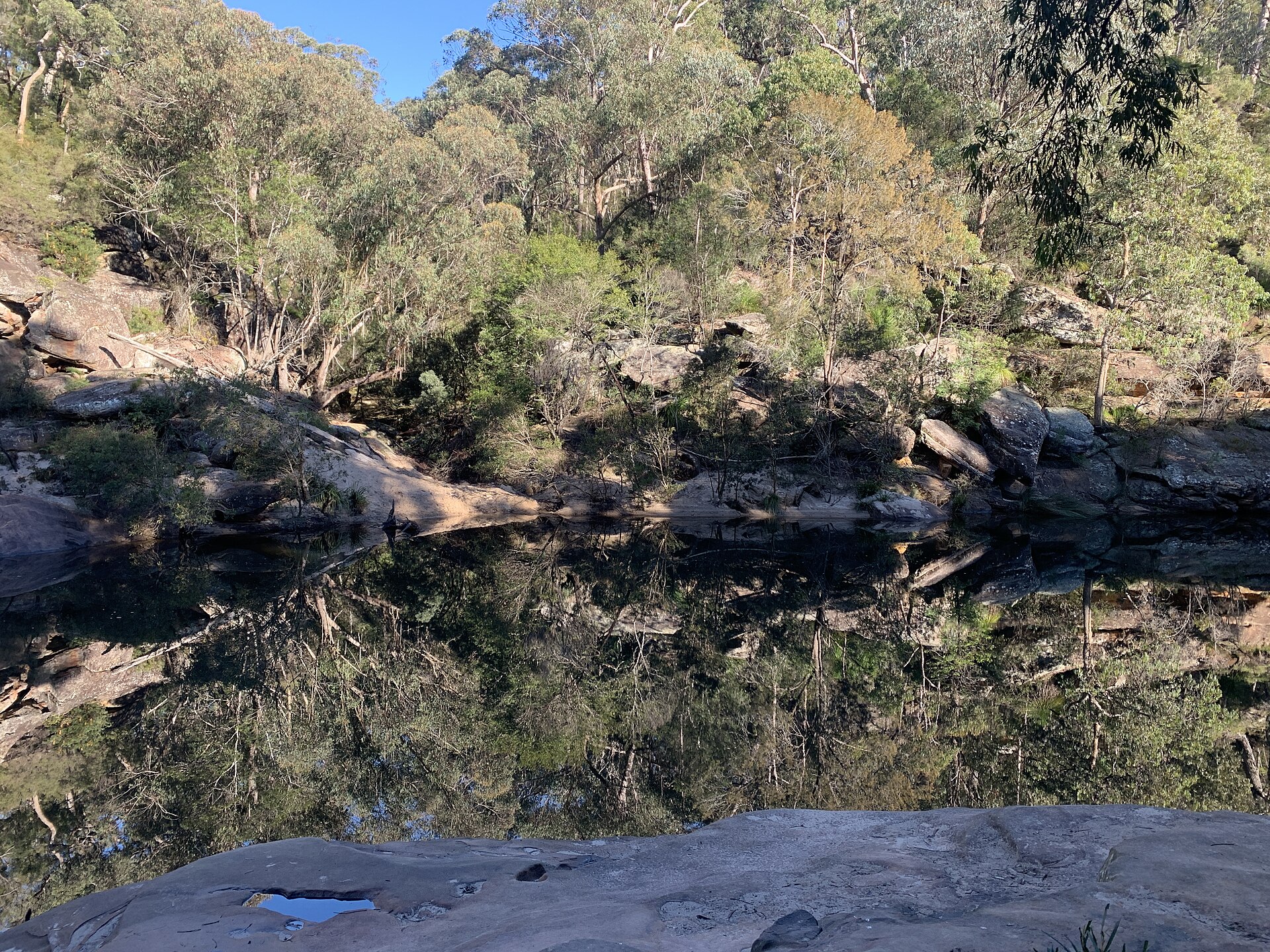 Jellybean Pool, a green swimming hole ringed by sandstone at Glenbrook
